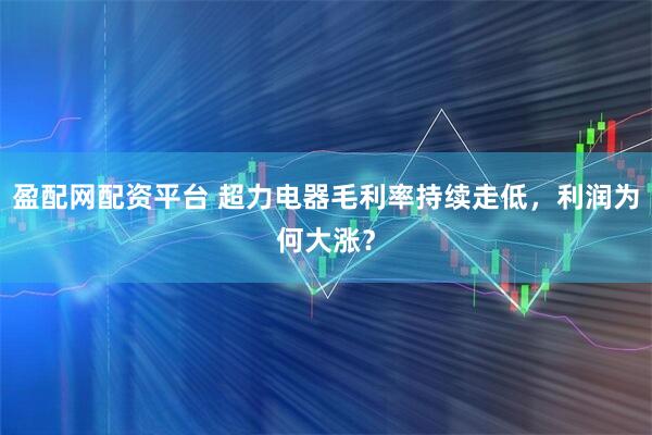 盈配网配资平台 超力电器毛利率持续走低，利润为何大涨？